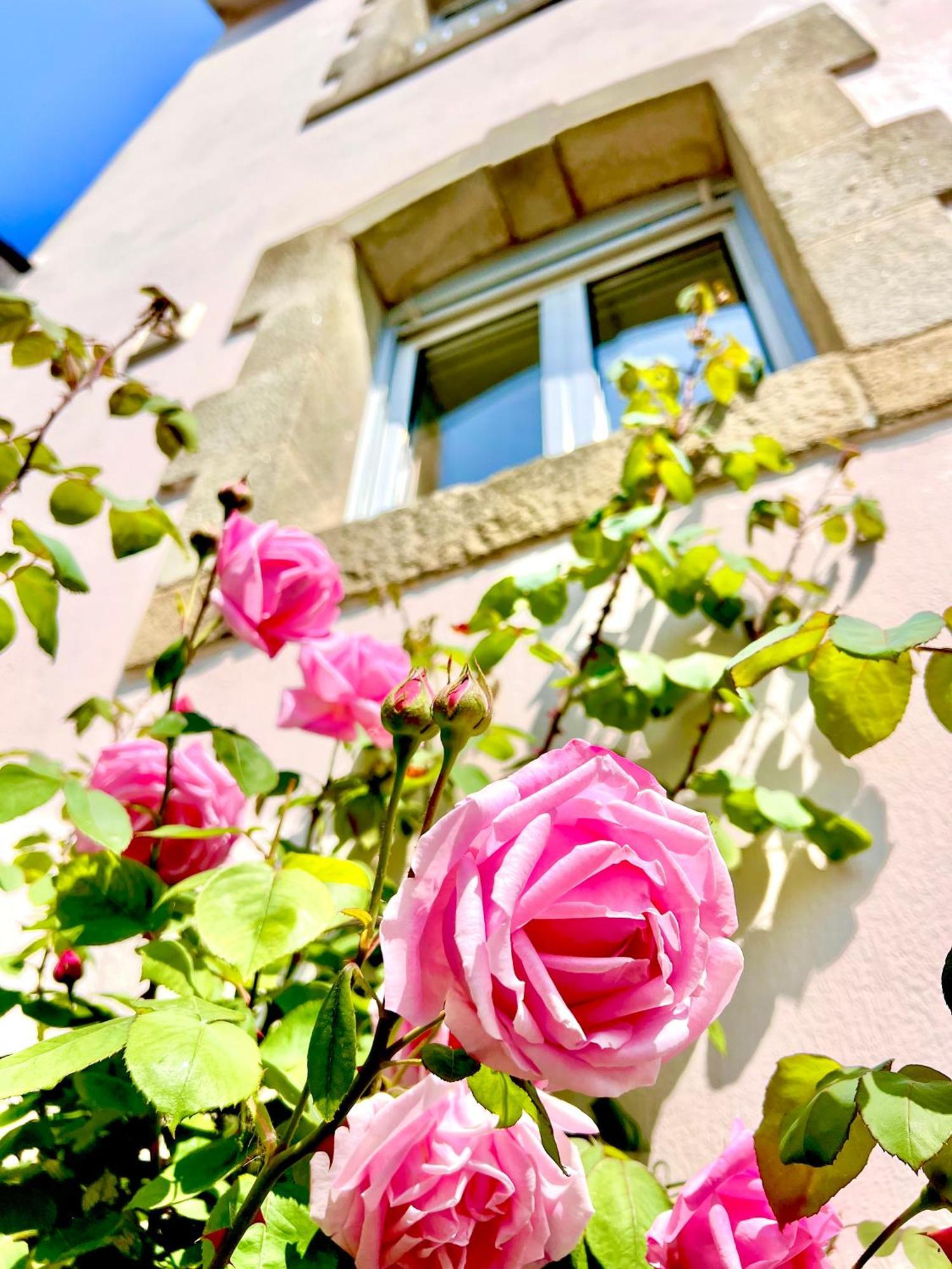 Apartament Glaz Ocean Douarnenez Zewnętrze zdjęcie